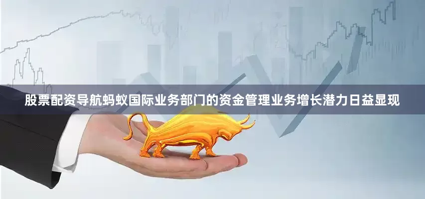 股票配资导航蚂蚁国际业务部门的资金管理业务增长潜力日益显现