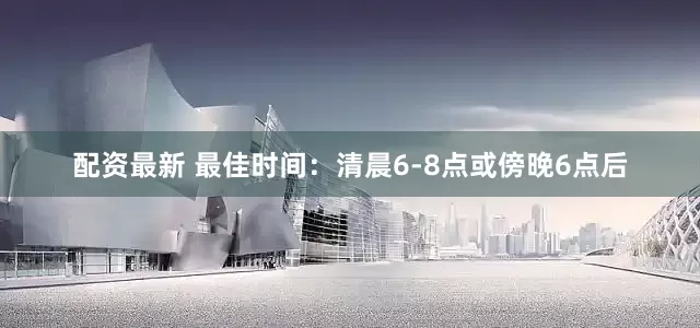 配资最新 最佳时间：清晨6-8点或傍晚6点后