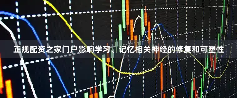 正规配资之家门户影响学习、记忆相关神经的修复和可塑性